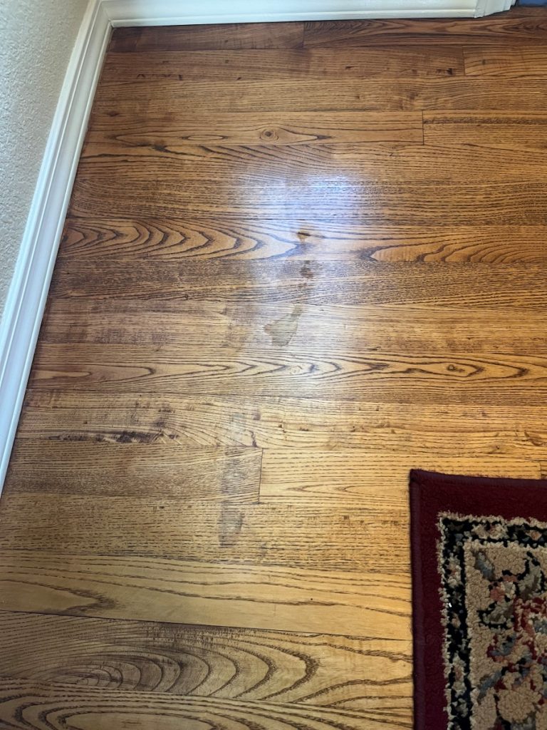 A section of wooden floor with visible scratches and scuff marks near a white baseboard. Part of a patterned rug with a red border is visible in the lower right corner.